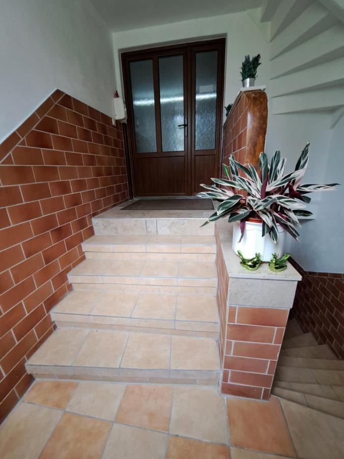 Zimmervermietung Abir Dresden Ngoại thất bức ảnh